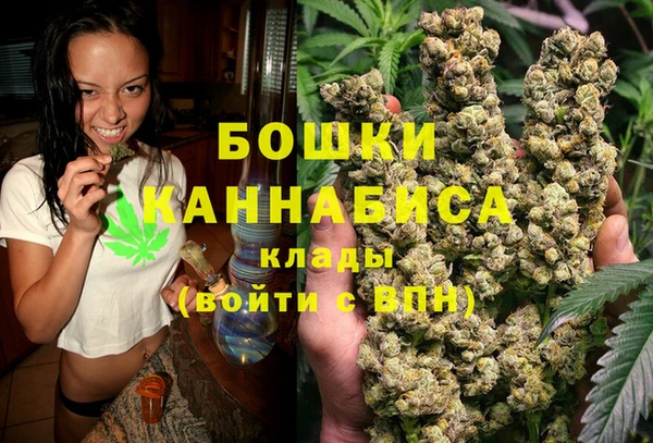 ПСИЛОЦИБИНОВЫЕ ГРИБЫ Бронницы